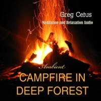 Campfire_In_Deep_Forest